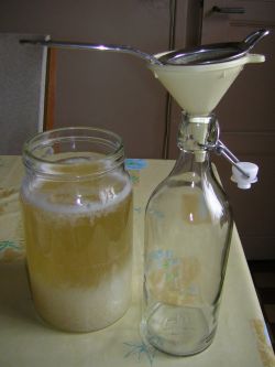 ケフィルを小ビンに移す